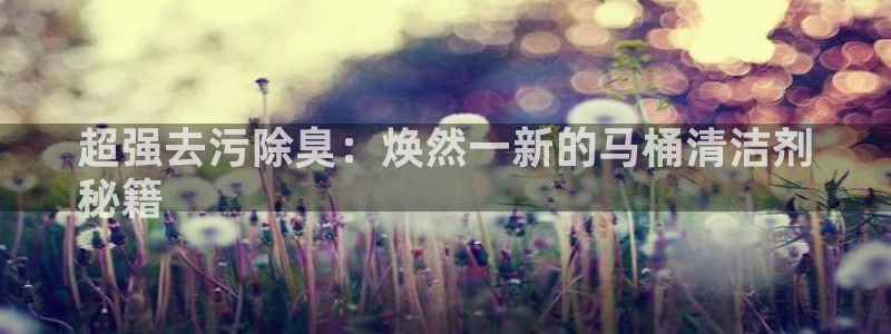 尊龙公司：超强去污除臭：焕然一新的马桶清洁剂
秘籍