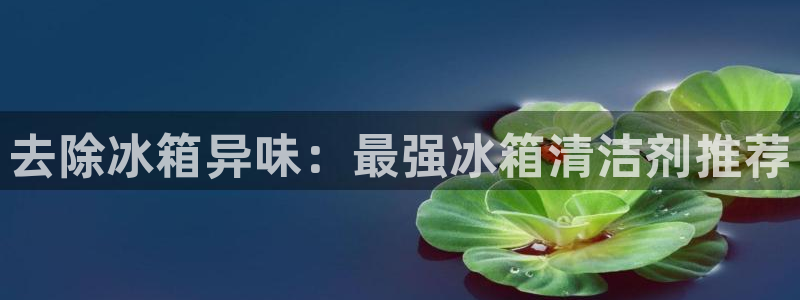 尊龙实业 吴友良