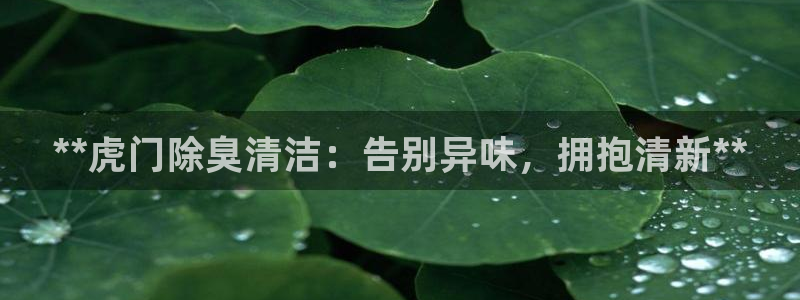 凯时平台怎么样