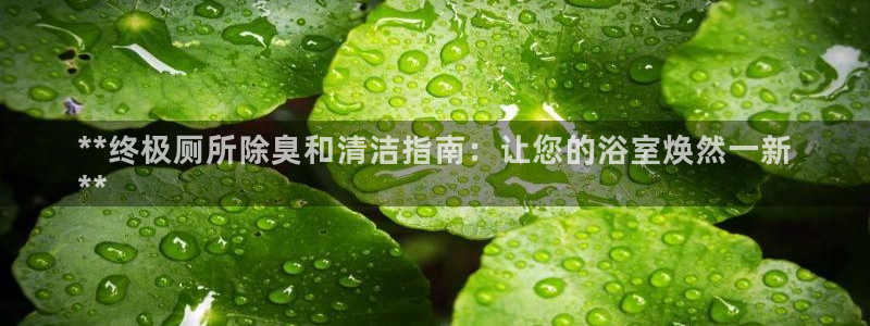 尊龙目前在哪
