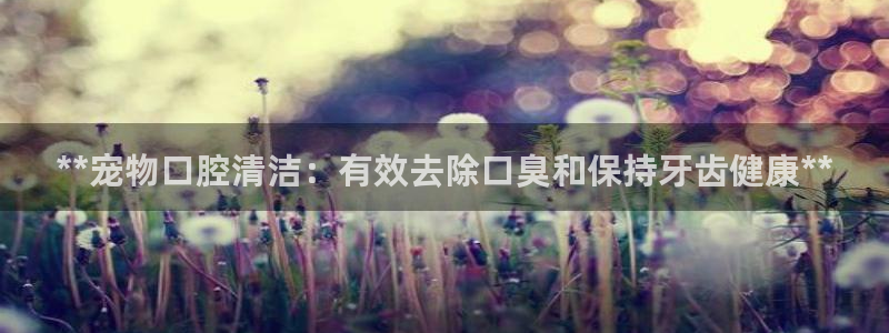 凯时k66官网登录