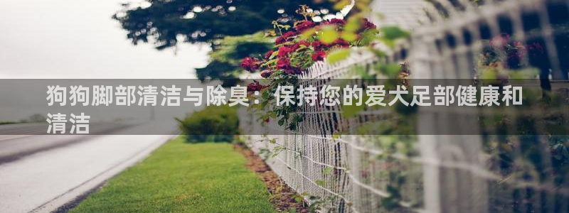 下载尊龙