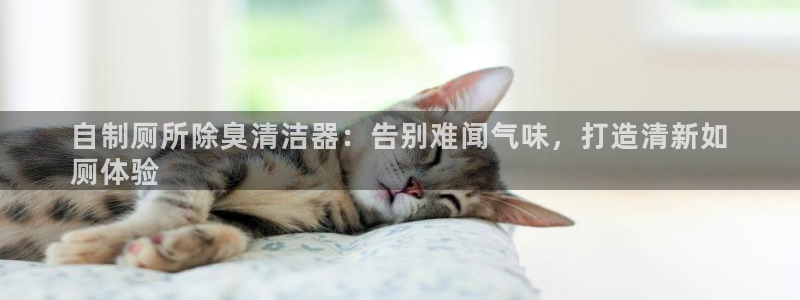 尊龙凯时导航菜单首页