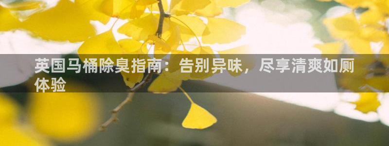 尊龙网址是选访问zd207：英国马桶除臭指南：告别异味，
