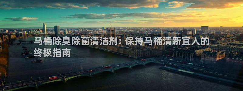 尊龙官网网站：马桶除臭除菌清洁剂: 保持马桶清新宜人的
