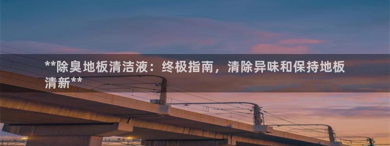 尊龙凯时网站不让提款：**除臭地板清洁液：终极指南，清除