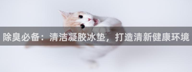 尊龙凯时提不了款