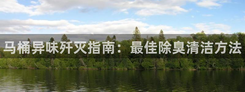 尊龙官方网址：马桶异味歼灭指南：最佳除臭清洁方法