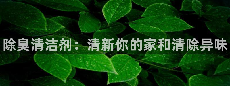 kb88凯时会员登录