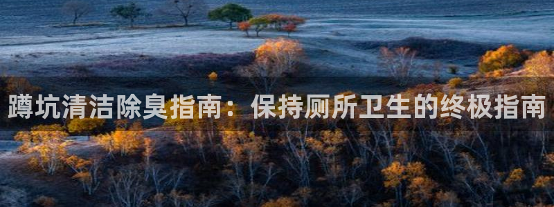 尊龙官网国际：蹲坑清洁除臭指南：保持厕所卫生的终极指南