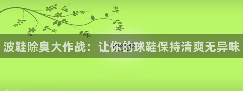 凯时K66最新版本下载：波鞋除臭大作战：让你的球鞋保持清