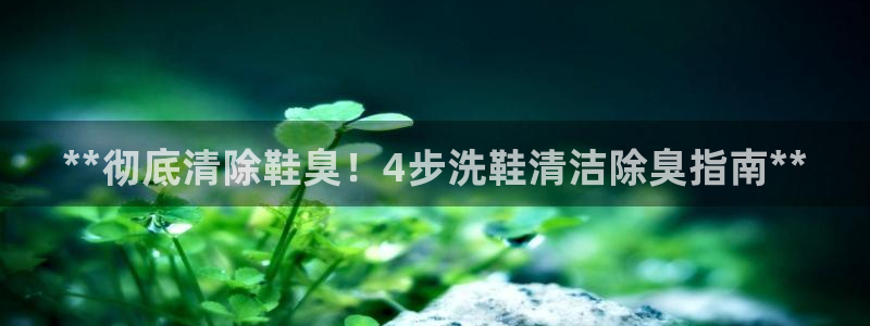 尊龙d88官网登录苹果版下载：**彻底清除鞋臭！4步洗鞋