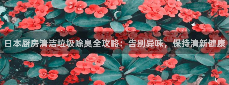 尊龙人生就是博菲律宾