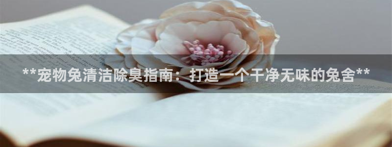 凯时首页地址：**宠物兔清洁除臭指南：打造一个干净无味的