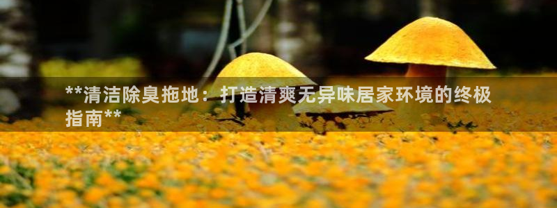 凯时kb88kb88