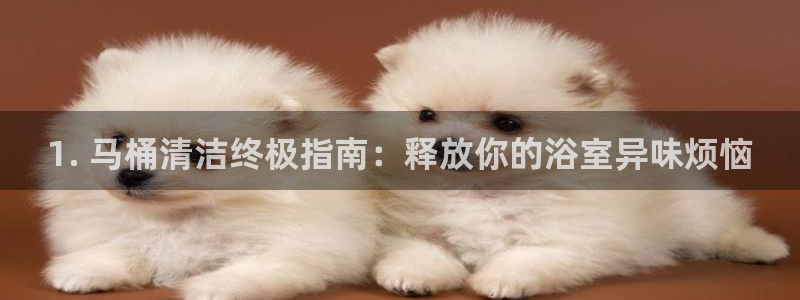 尊龙人生就是博中国区