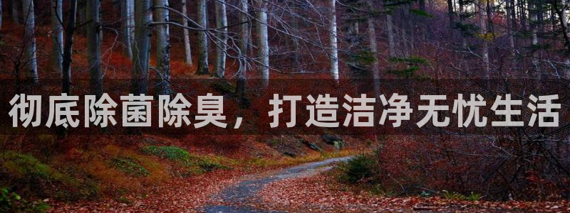 尊龙手机版下载：彻底除菌除臭，打造洁净无忧生活