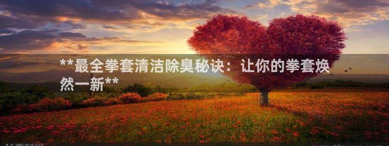 尊龙APP客户端平台：**最全拳套清洁除臭秘诀：让你的拳