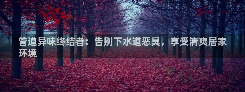 尊龙凯时账号异常审核提不了款怎么办：管道异味终结者：告别下水