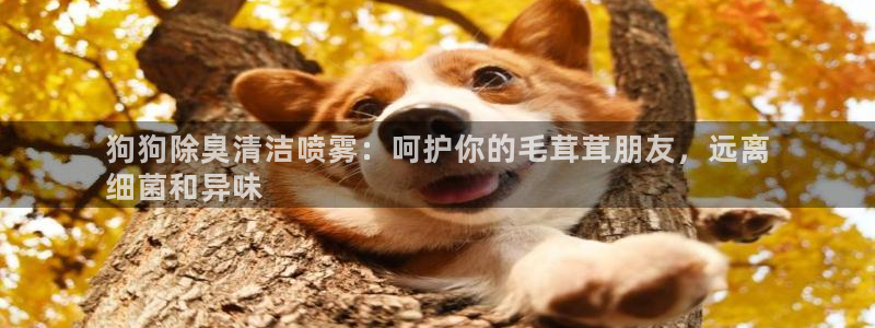 尊龙凯时注册地址：狗狗除臭清洁喷雾：呵护你的毛茸茸朋友，