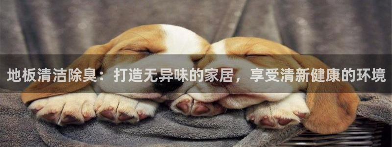 尊龙凯时 人生就是搏：地板清洁除臭：打造无异味的家居，享