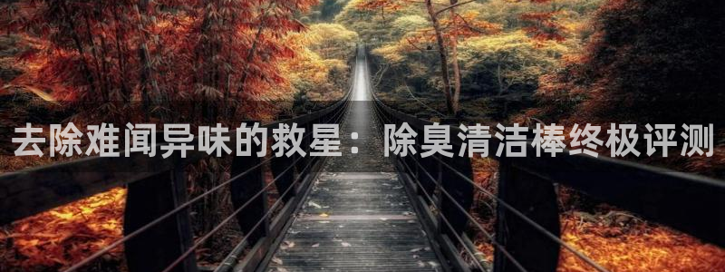 d88尊龙手机登录下载：去除难闻异味的救星：除臭清洁棒终
