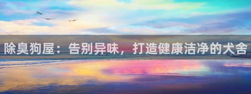 尊龙,人生就是搏：除臭狗屋：告别异味，打造健康洁净的犬舍