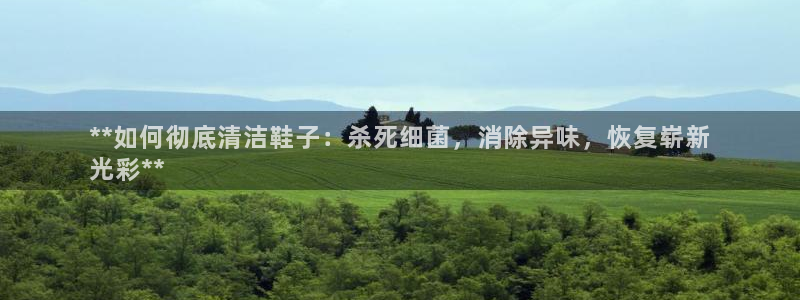 尊龙网址登录官网：**如何彻底清洁鞋子：杀死细菌，消除异