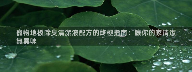 尊龙app注册官网：寵物地板除臭清潔液配方的終極指南：讓