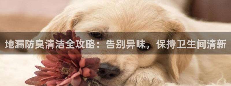 尊龙凯时防屏蔽网址