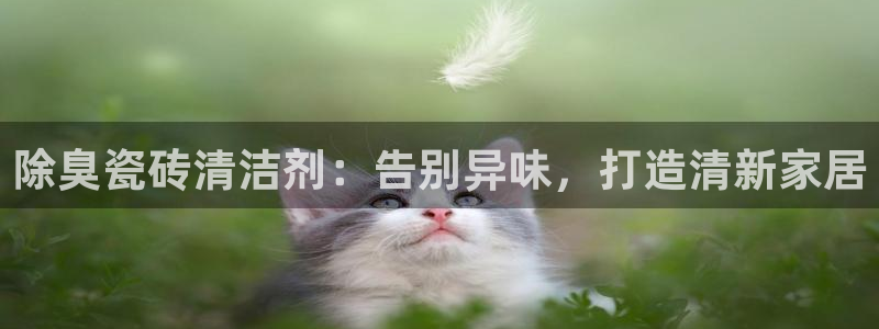 尊龙d88皆选ag发财网：除臭瓷砖清洁剂：告别异味，打造