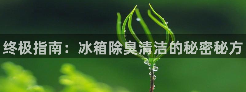 凯时登录首页,凯时K66：终极指南：冰箱除臭清洁的秘密秘