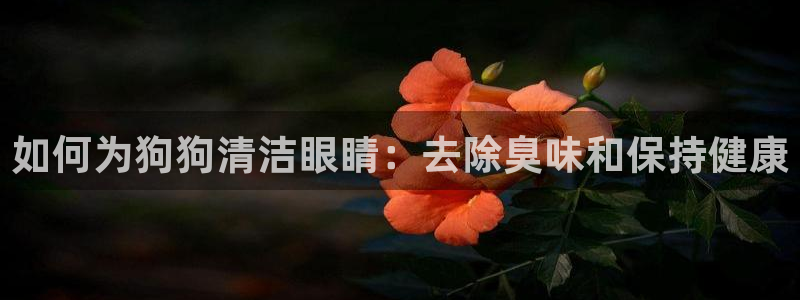 凯时官网下载客户端