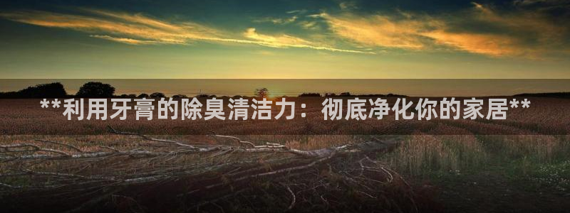 z6尊龙z6