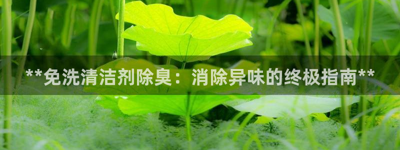尊龙凯时下载人生就是博：**免洗清洁剂除臭：消除异味的终