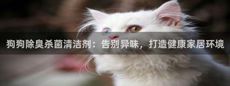 尊龙百度百科