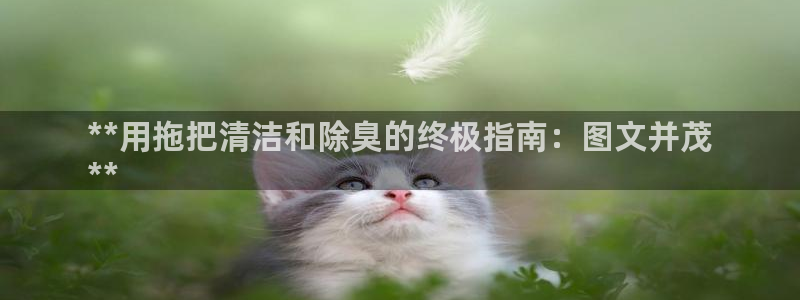 尊龙coming to my own：**用拖把清洁和除