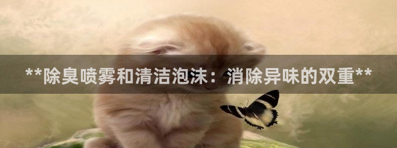 尊龙凯时取钱很慢：**除臭喷雾和清洁泡沫：消除异味的双重
