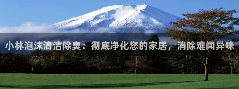 尊龙凯时代理