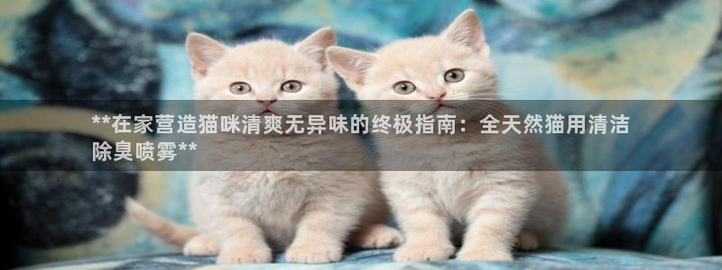 尊龙凯时不朽情缘：**在家营造猫咪清爽无异味的终极指南：