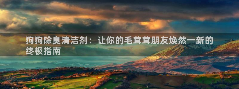 凯时官网手机版首页：狗狗除臭清洁剂：让你的毛茸茸朋友焕然