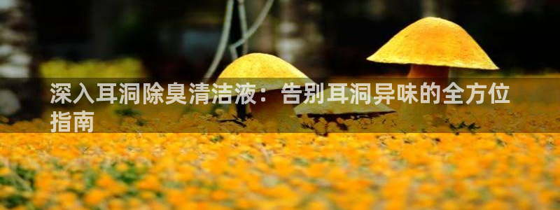 凯时k8官网首页