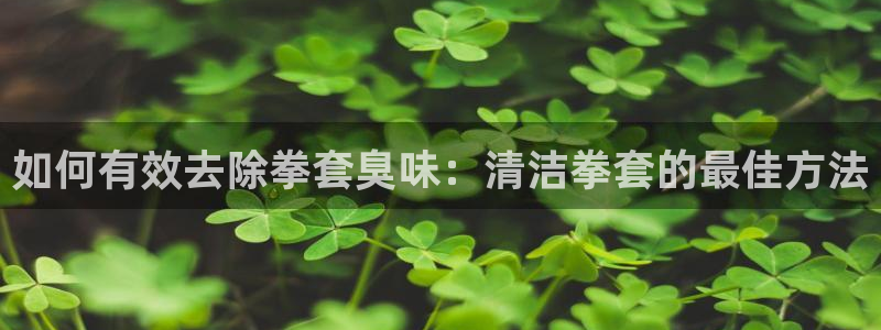 尊龙信息科技有限公司：如何有效去除拳套臭味：清洁拳套的最