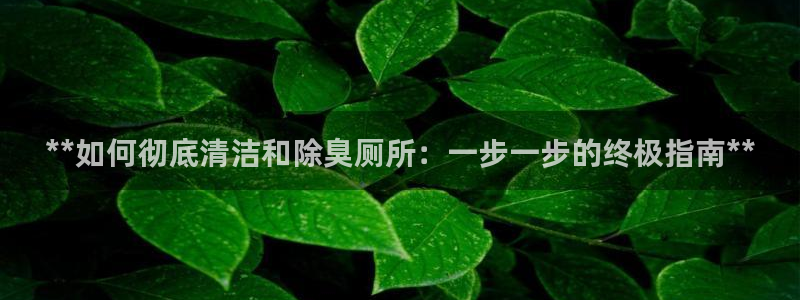尊龙 ag：**如何彻底清洁和除臭厕所：一步一步的终极指