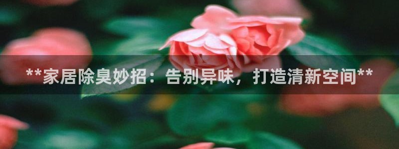 尊龙app最新版本官网：**家居除臭妙招：告别异味，打造