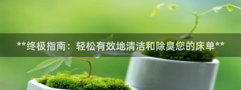 尊龙这个平台怎么样：**终极指南：轻松有效地清洁和除臭您