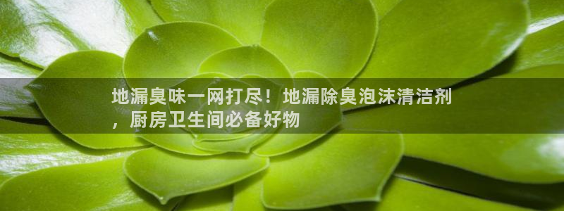 尊龙凯时泰安：地漏臭味一网打尽！地漏除臭泡沫清洁剂
，厨