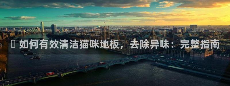 尊龙凯时赞助：✅ 如何有效清洁猫咪地板，去除异味：完整指
