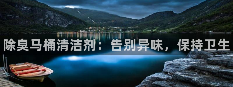 尊龙官网网站：除臭马桶清洁剂：告别异味，保持卫生