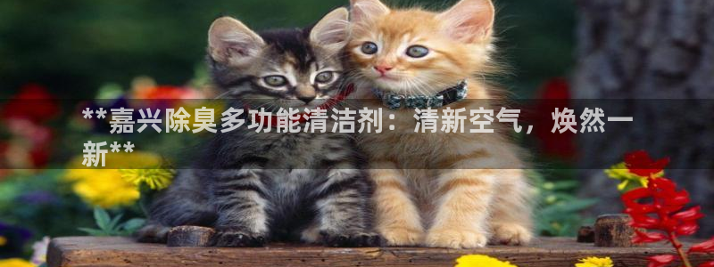 尊龙网址苹果版下载：**嘉兴除臭多功能清洁剂：清新空气，
